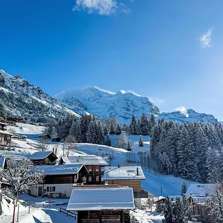 Bristol Apt- M By Interhome Apartmán Wengen
